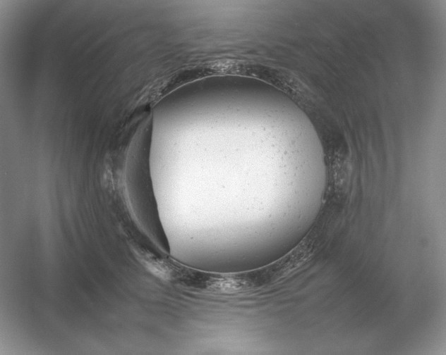 X0000053150611200507251843