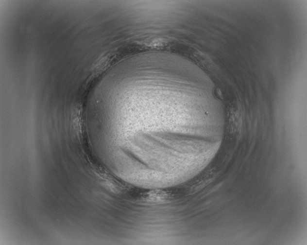 X0000053150612200507251843