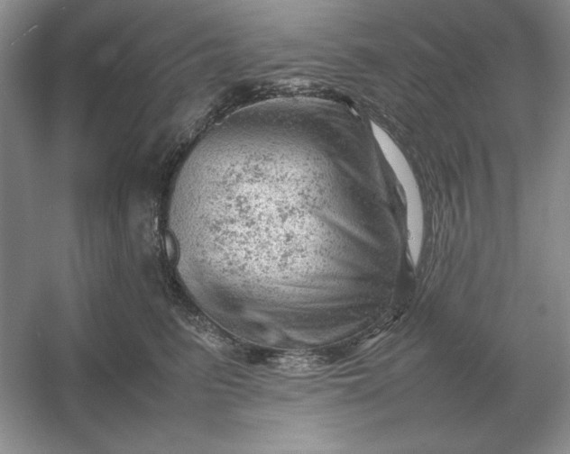 X0000053150615200507251843