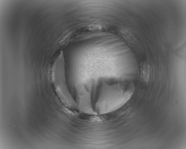 X0000053150616200507251843