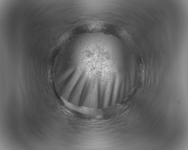 X0000053150619200507251843