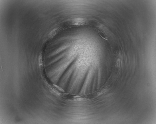 X0000053150620200507251843