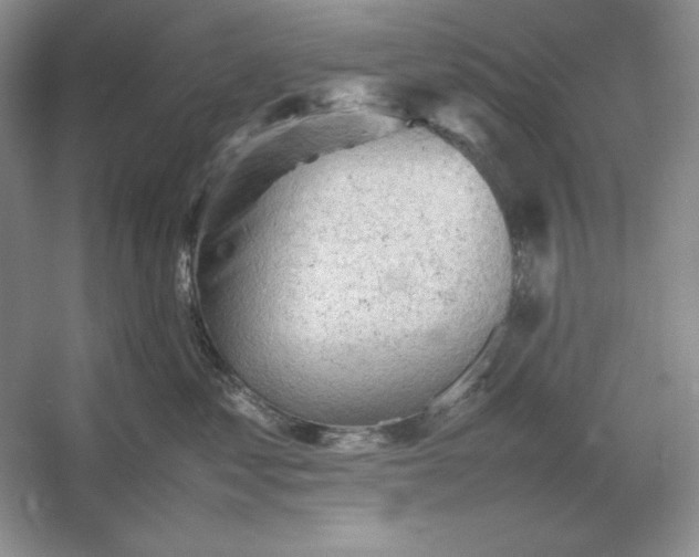 X0000053150621200507251843