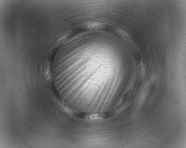 X0000053150622200507251843