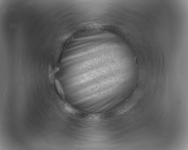 X0000053150624200507251843