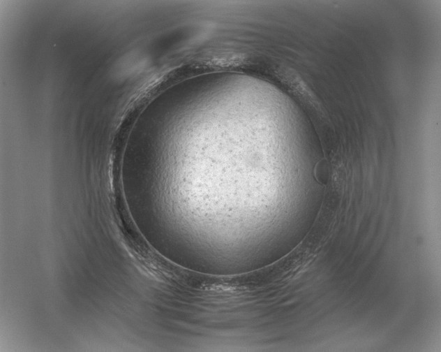 X0000053150635200507251842