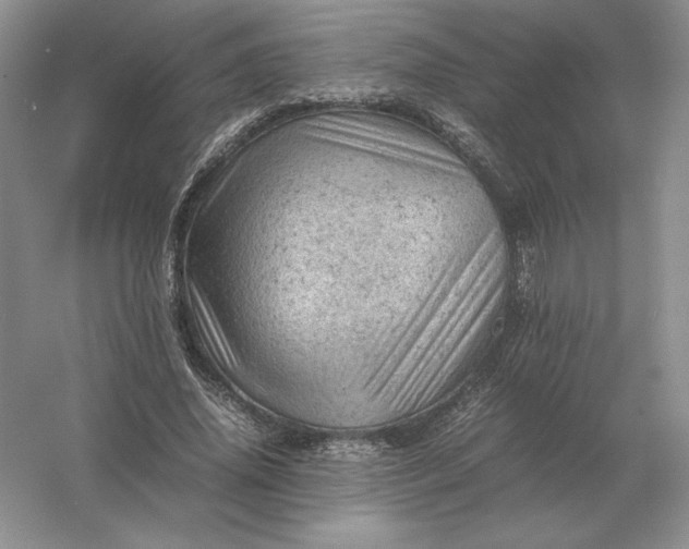 X0000053150636200507251842