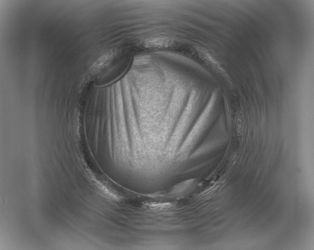 X0000053150637200507251842