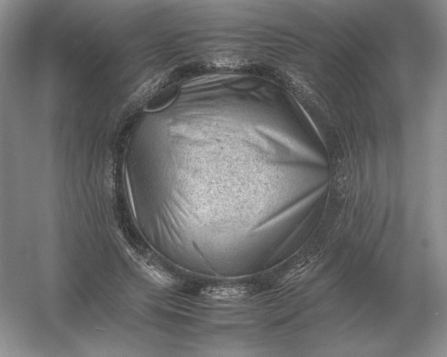 X0000053150639200507251843