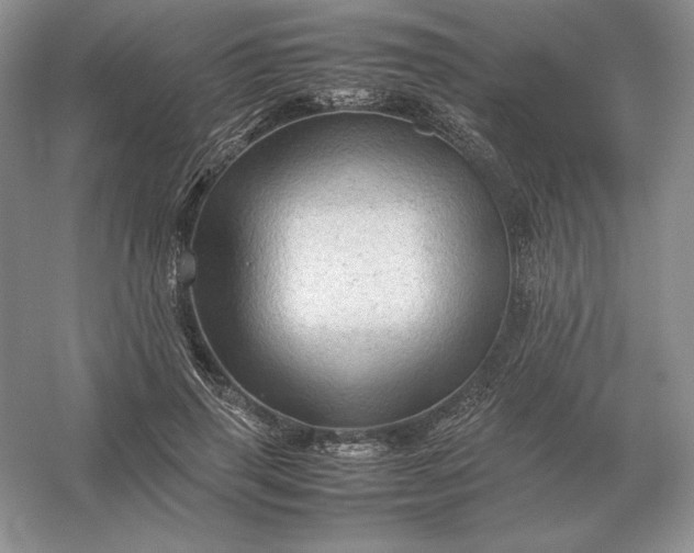 X0000053150645200507251843
