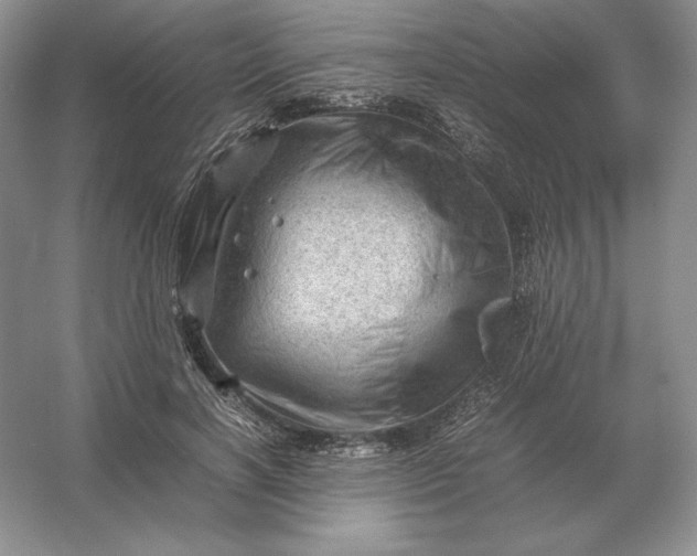 X0000053150646200507251843