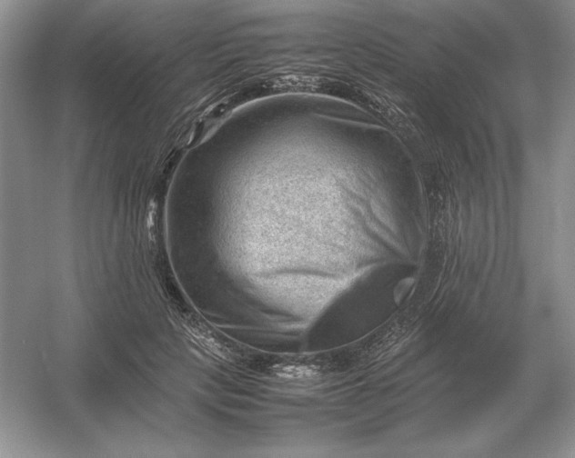 X0000053150649200507251843