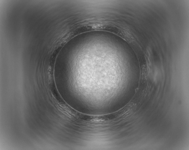 X0000053150650200507251843