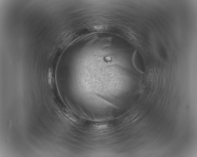 X0000053150651200507251843