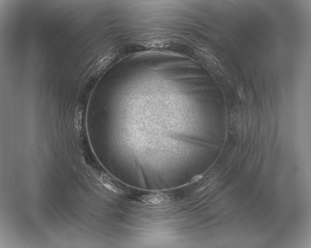 X0000053150652200507251843