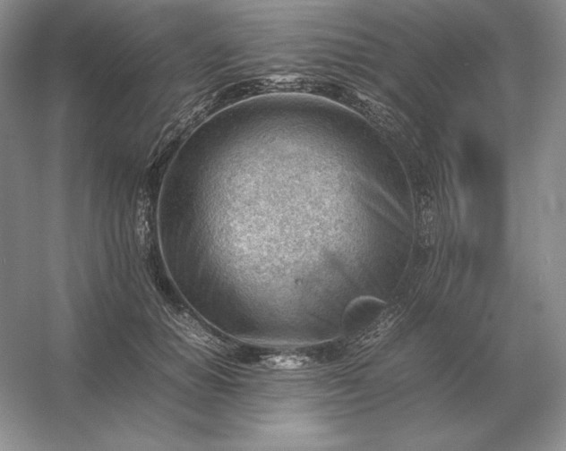 X0000053150654200507251843