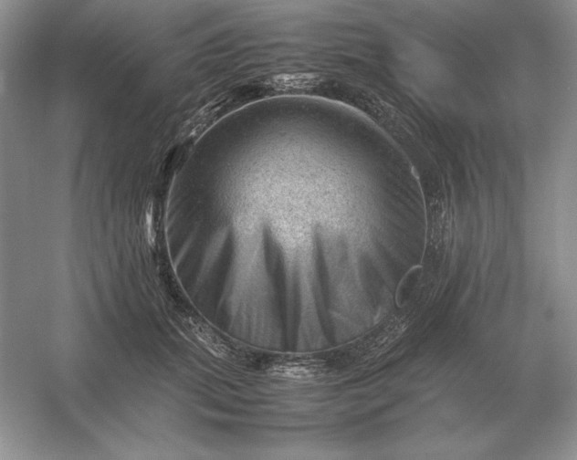 X0000053150655200507251843