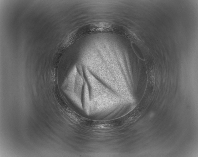 X0000053150657200507251843