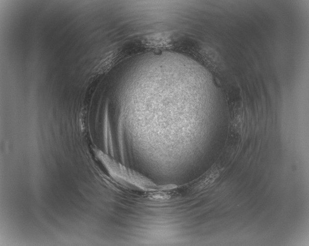 X0000053150658200507251843