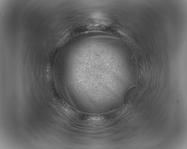 X0000053150659200507251843