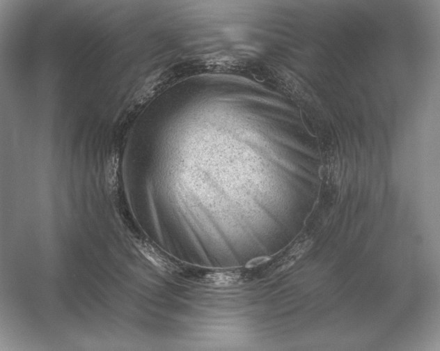 X0000053150660200507251843