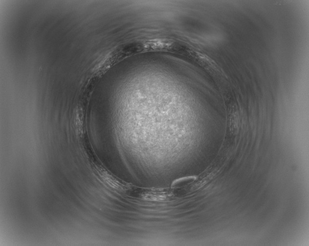 X0000053150661200507251843