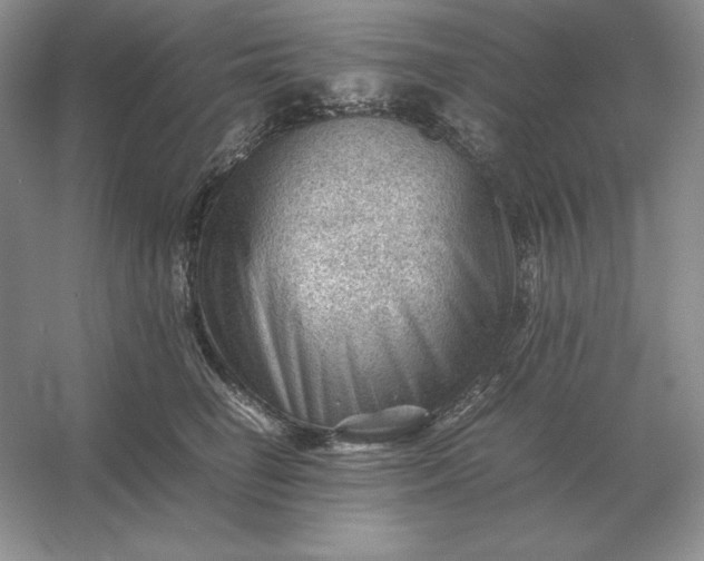 X0000053150662200507251843