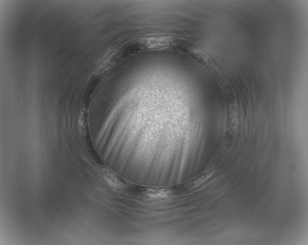 X0000053150667200507251843