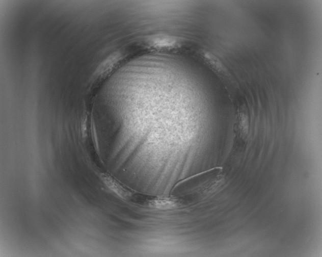 X0000053150668200507251843