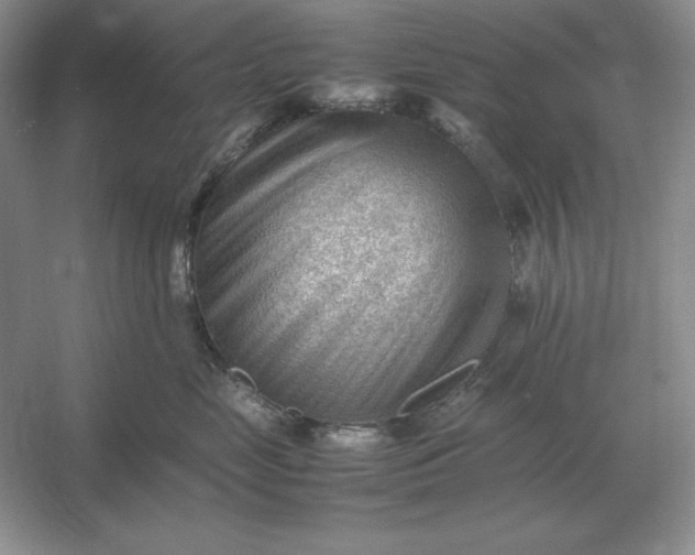 X0000053150669200507251843