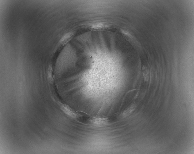 X0000053150670200507251843