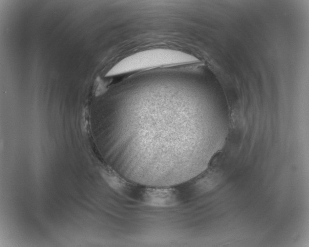 X0000053150671200507251843