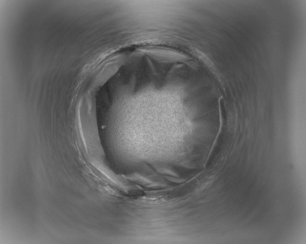 X0000053150673200507251842