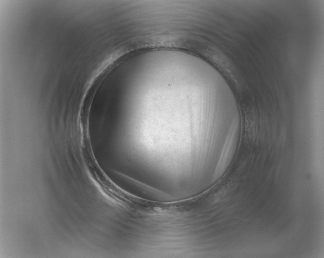 X0000053150674200507251842