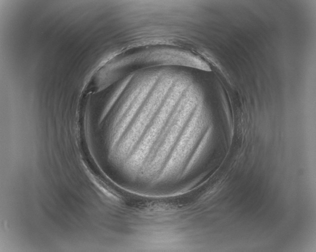 X0000053150677200507251842