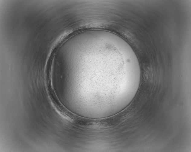 X0000053150678200507251842
