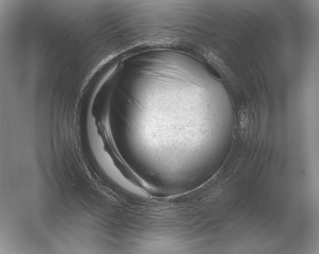 X0000053150684200507251842