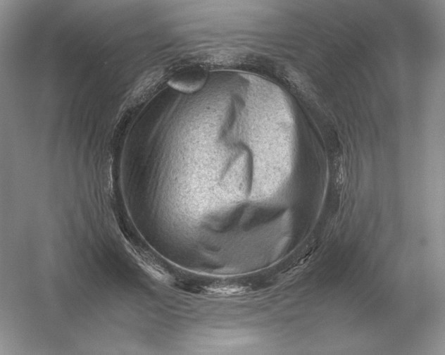 X0000053150685200507251842