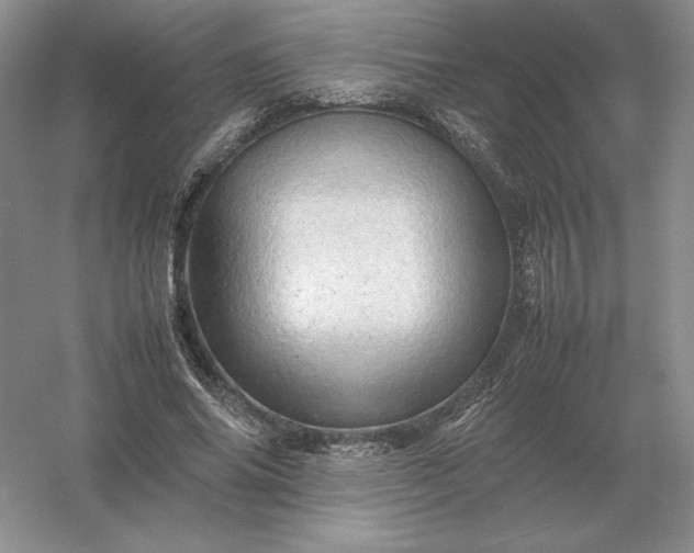 X0000053150686200507251842