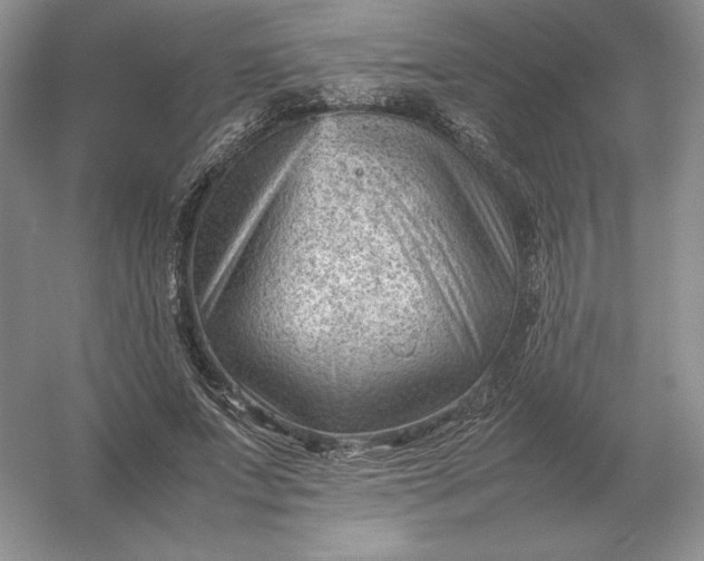 X0000053150687200507251842