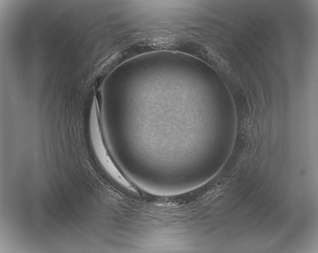 X0000053150689200507251842