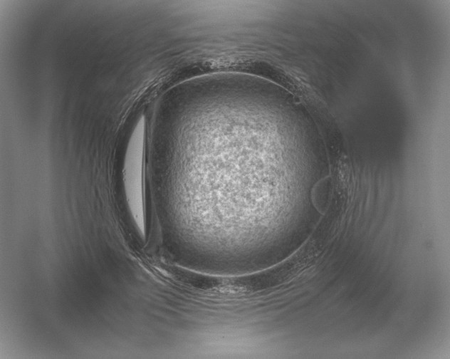 X0000053150691200507251842