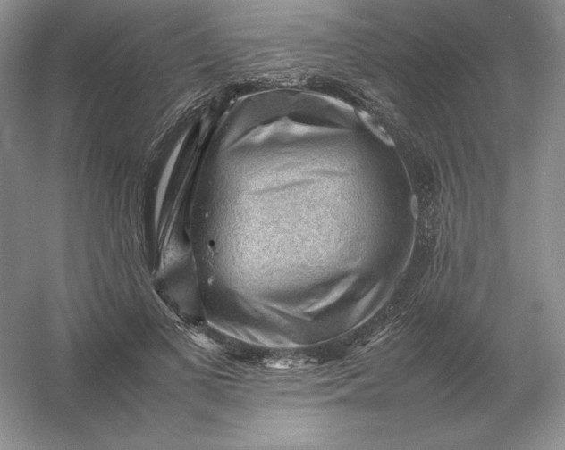 X0000053150693200507251842