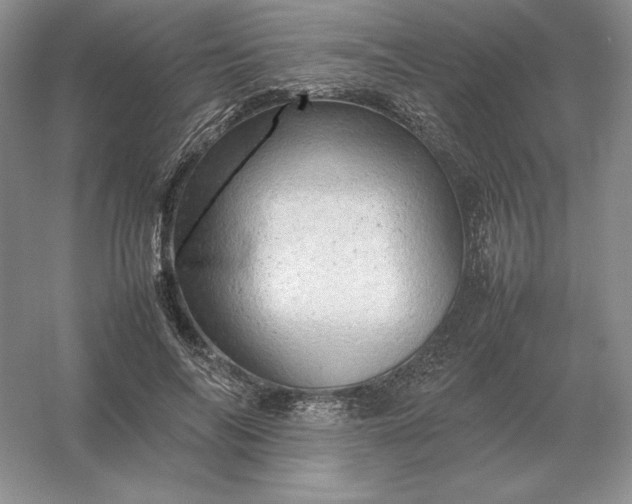X0000053150694200507251842
