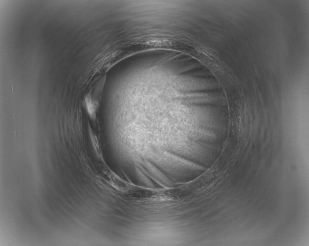 X0000053150696200507251842