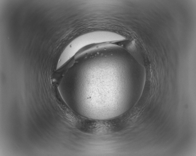 X0000053150697200507251842