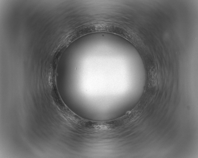 X0000053150698200507251842