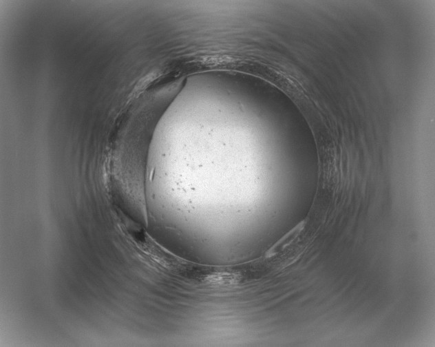 X0000053150700200507251842
