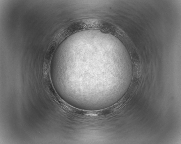 X0000053150701200507251842