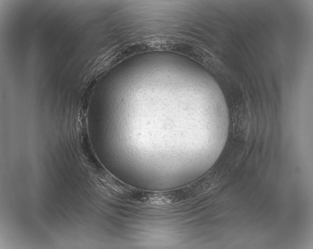 X0000053150702200507251842